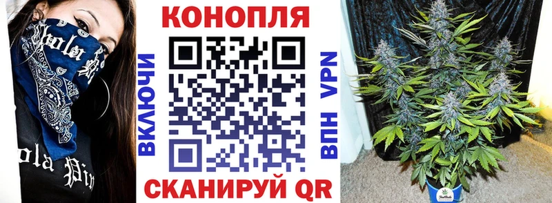 Гашиш Боровичи