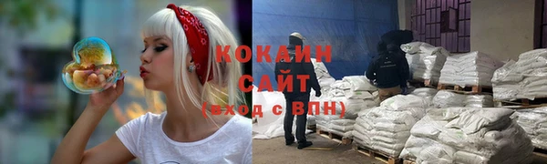прущие грибы Ветлуга