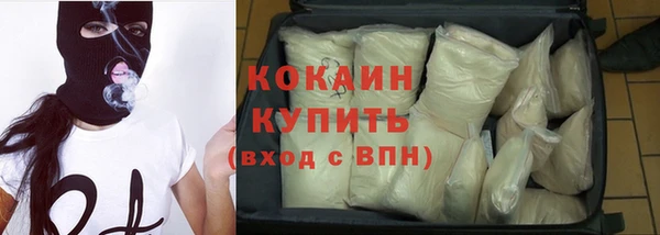 хмурый Осинники