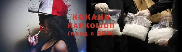 хмурый Осинники