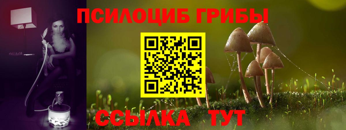 Галлюциногенные грибы Magic Shrooms Боровичи
